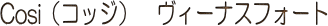Cosi@B[iXtH[g
